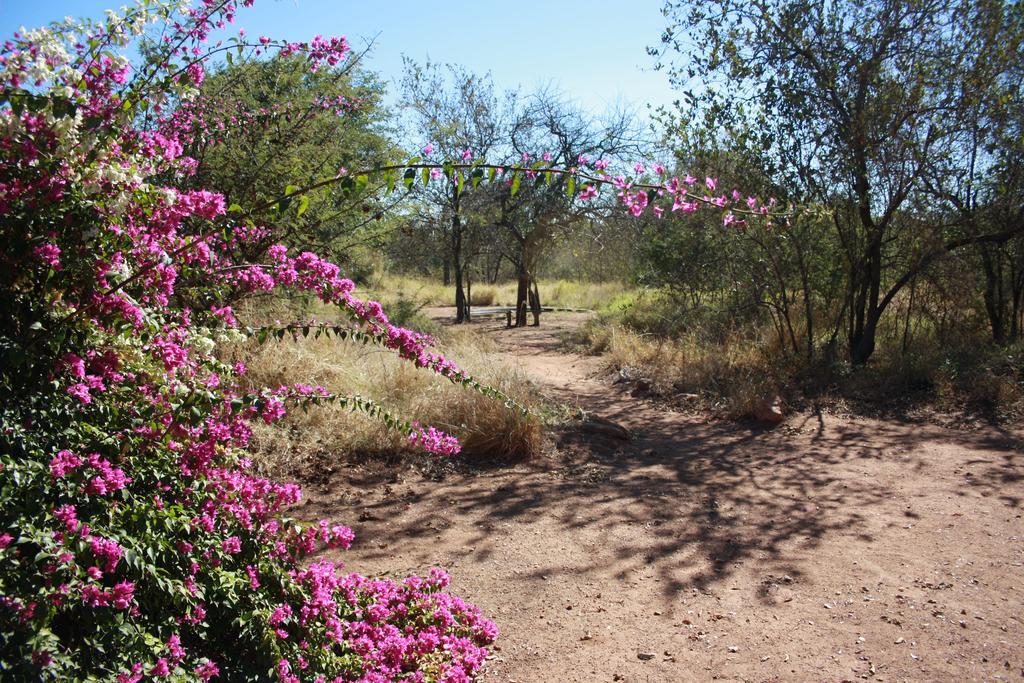 Normann Safari Bush Lodge Phalaborwa Exterior foto